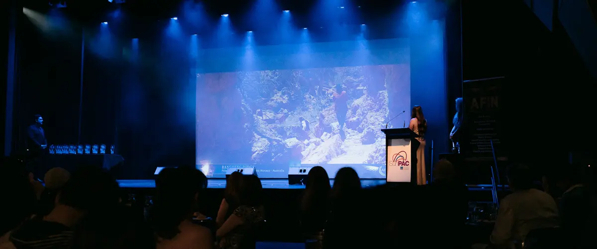 The AFIN Awards Night at SunPAC: a blue-lit stage with a row of crystal trophies, presenters at the podium, and a nominated film playing on the big screen.